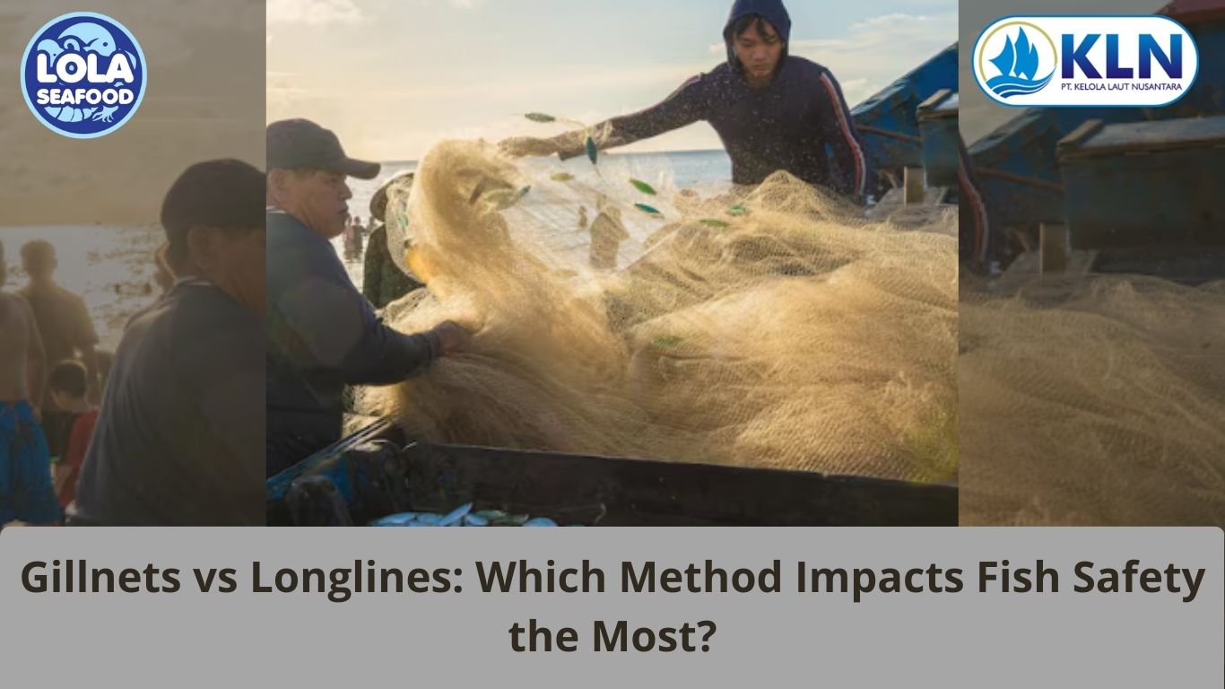 Gillnets vs Longlines: Which Method Impacts Fish Safety the Most?